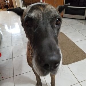 Meet your Posher, Diane